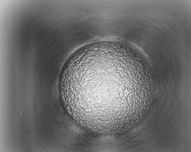 X0000071771174200607150020