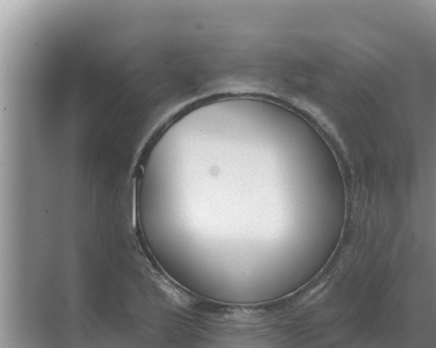 X0000071771175200607150020