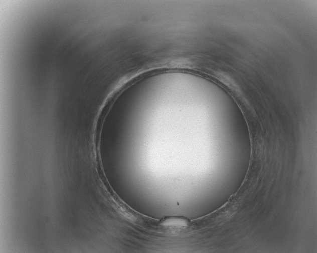 X0000071771176200607150020