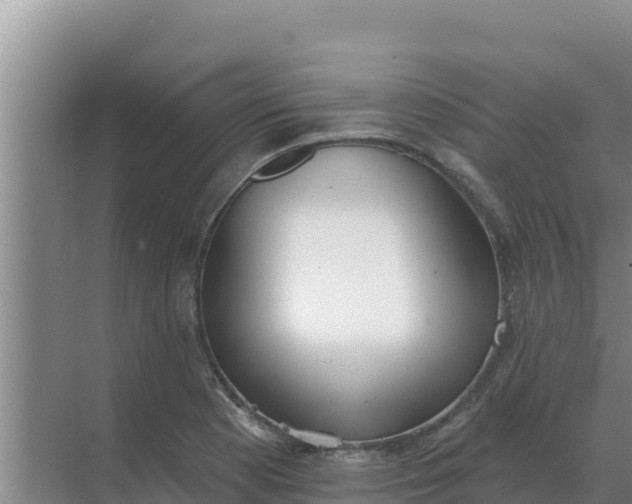 X0000071771177200607150020