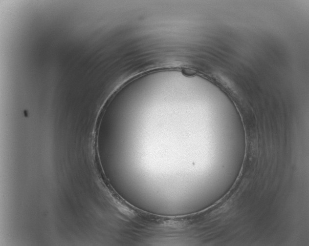 X0000071771178200607150020