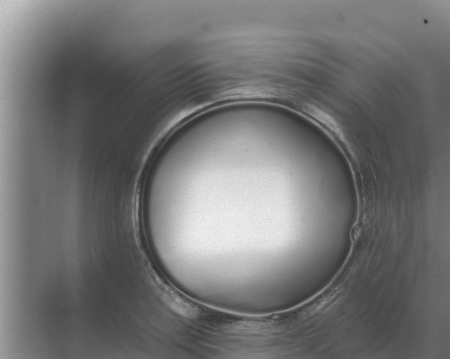 X0000071771179200607150020