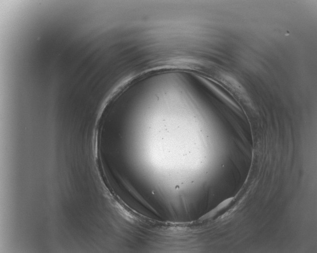 X0000071771180200607150020