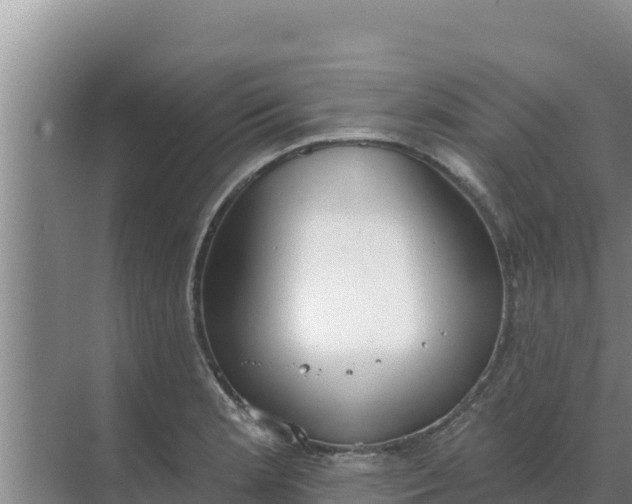 X0000071771181200607150020