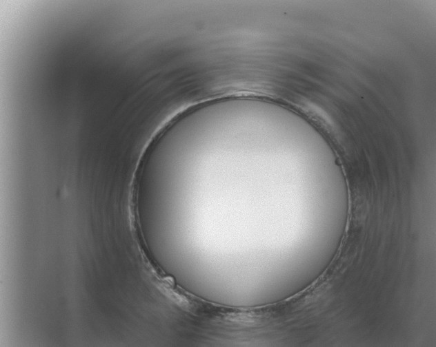 X0000071771182200607150020