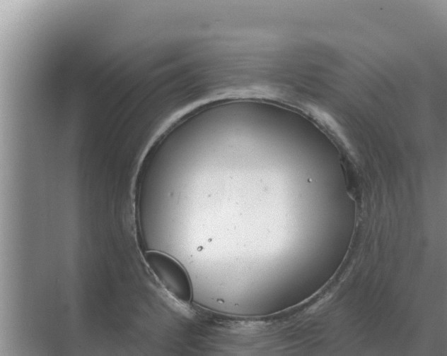 X0000071771184200607150020