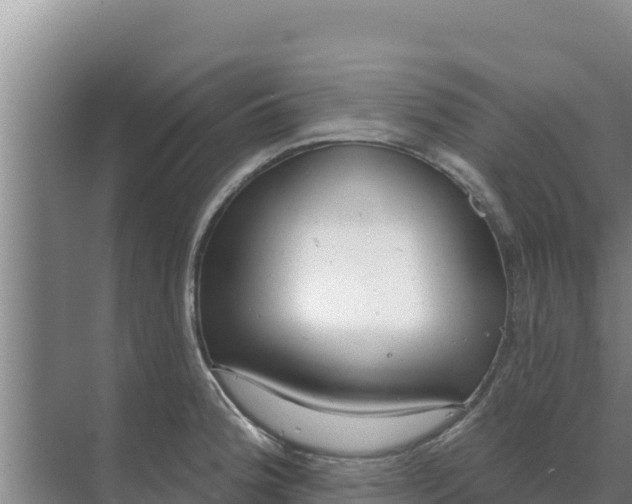 X0000071771188200607150020