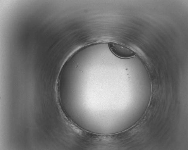 X0000071771190200607150020