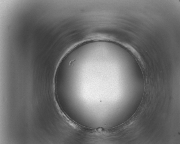 X0000071771191200607150020