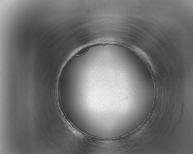 X0000071771192200607150020