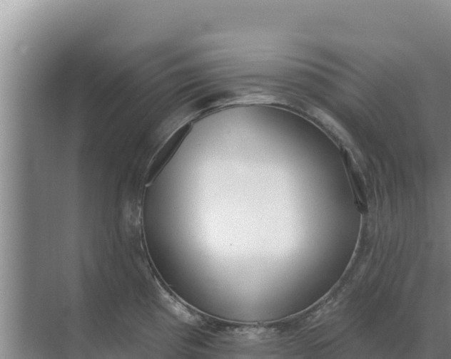 X0000071771193200607150020