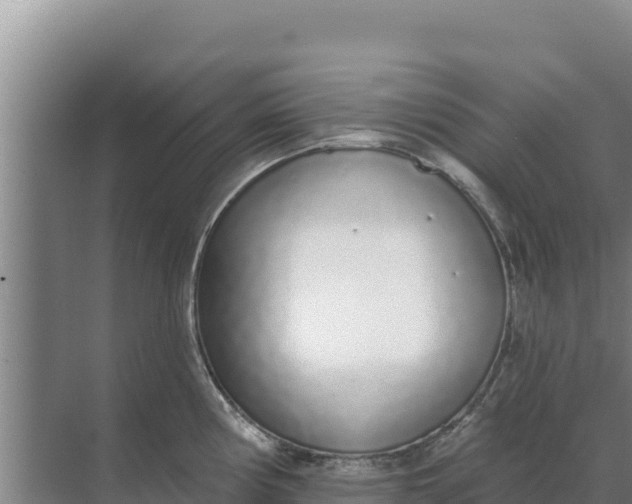 X0000071771194200607150020