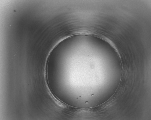 X0000071771195200607150020