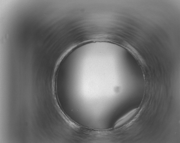 X0000071771196200607150020