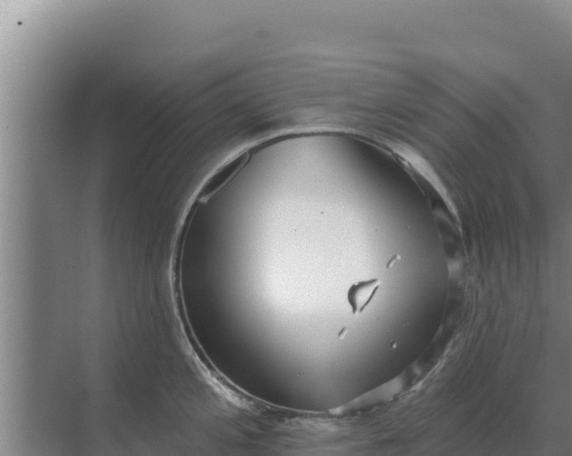 X0000071771197200607150020