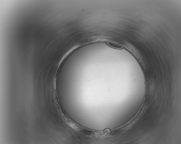 X0000071771198200607150020