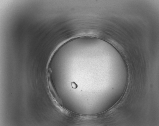 X0000071771200200607150020