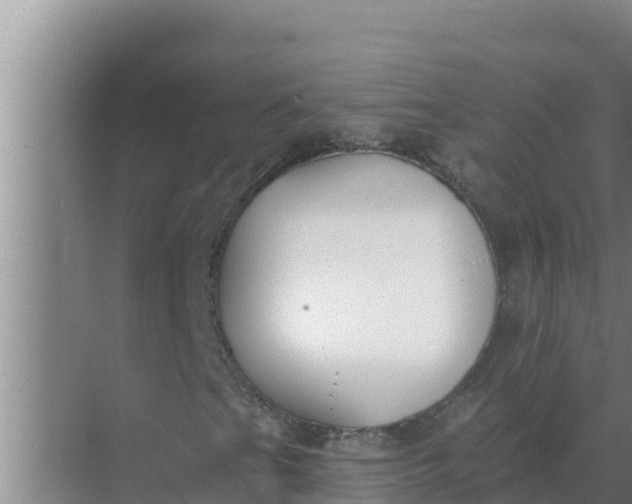 X0000071771201200607150019