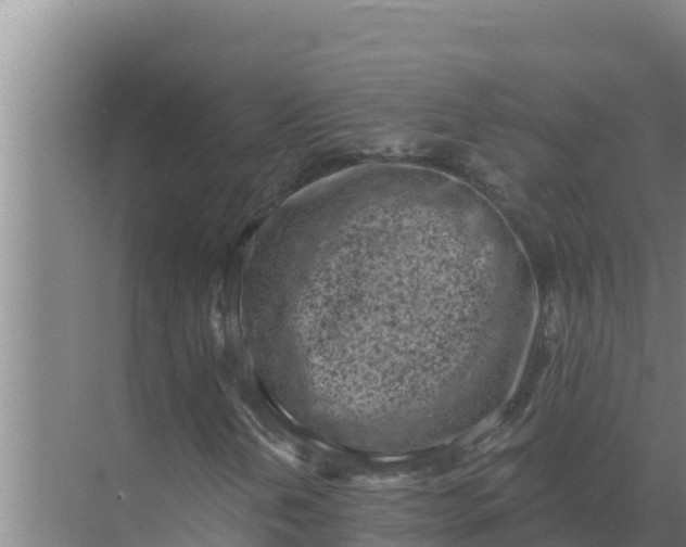 X0000071771202200607150019