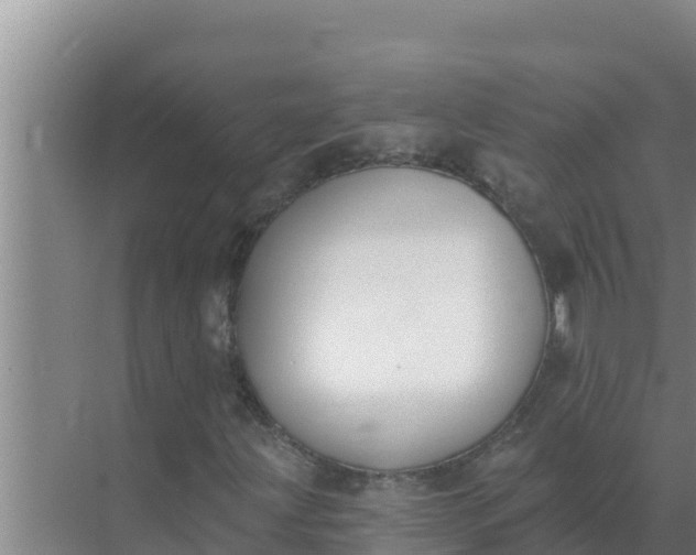 X0000071771203200607150019