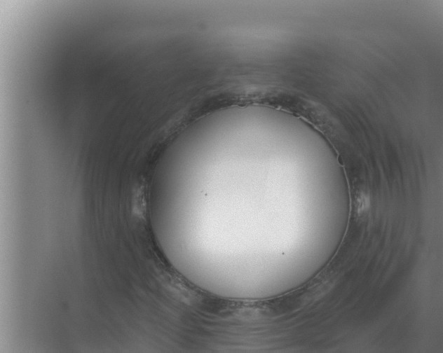 X0000071771204200607150019