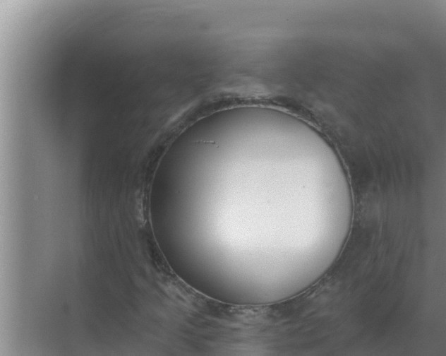 X0000071771205200607150019