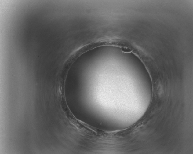 X0000071771206200607150019