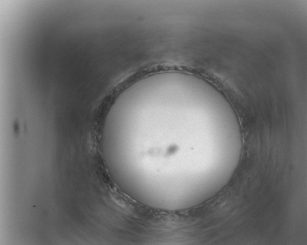 X0000071771207200607150019