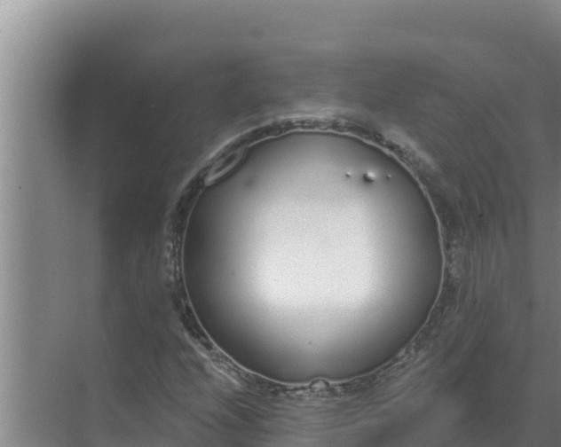 X0000071771208200607150019