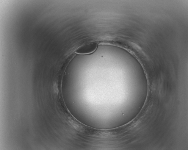 X0000071771209200607150019