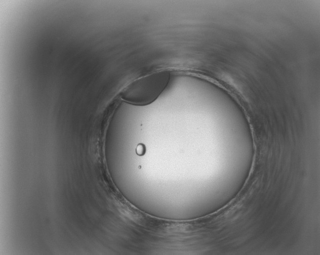 X0000071771211200607150019