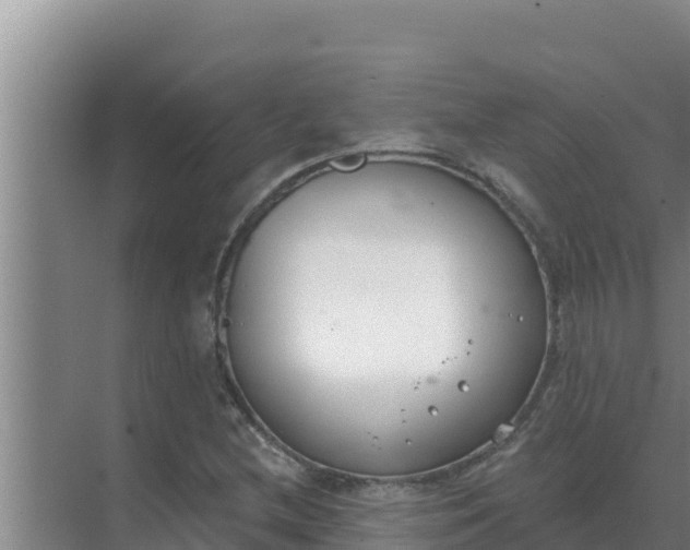 X0000071771212200607150019