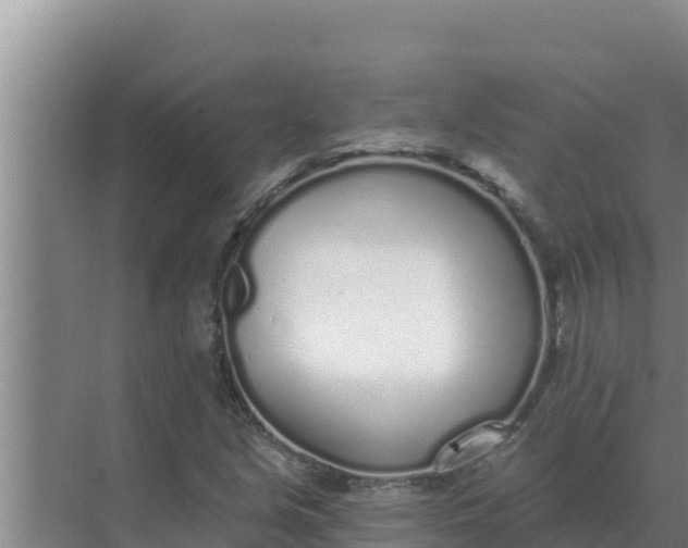 X0000071771213200607150019