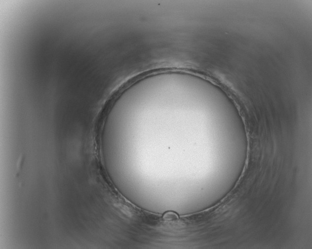 X0000071771215200607150019