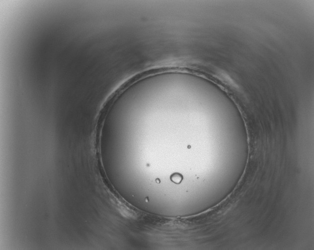 X0000071771216200607150019