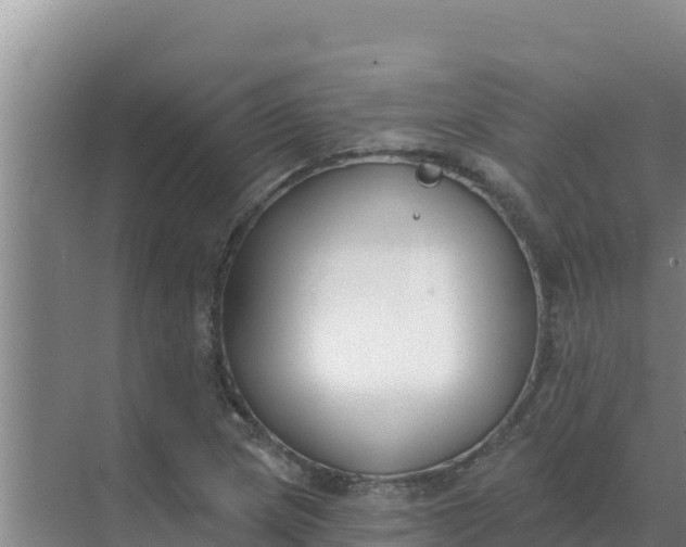 X0000071771217200607150019