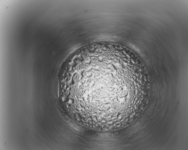 X0000071771219200607150019