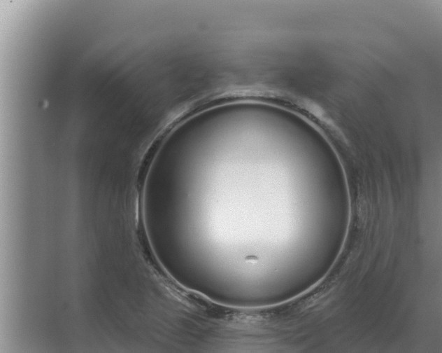 X0000071771221200607150020