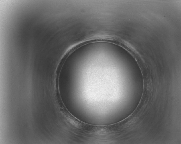 X0000071771222200607150020