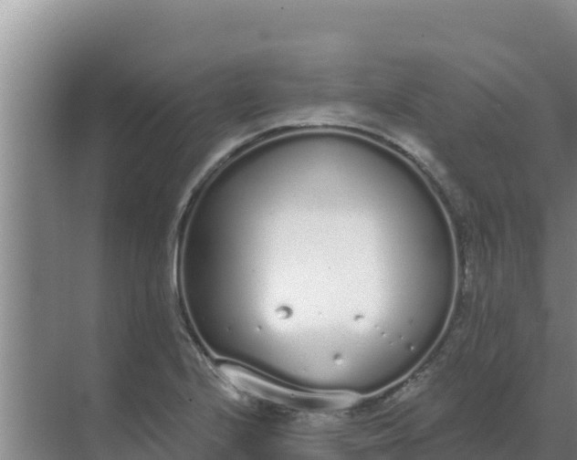 X0000071771224200607150020