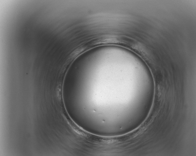 X0000071771225200607150020