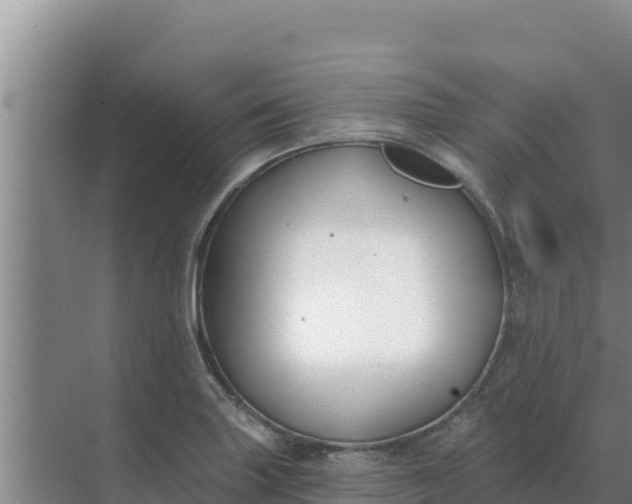 X0000071771227200607150020