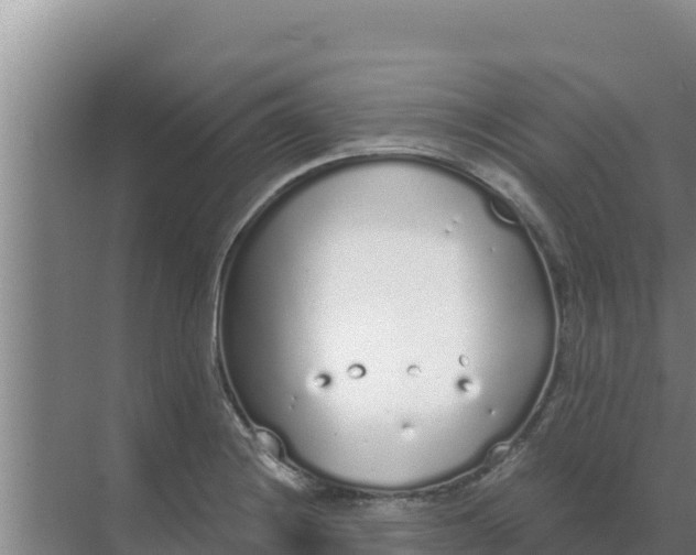 X0000071771228200607150020