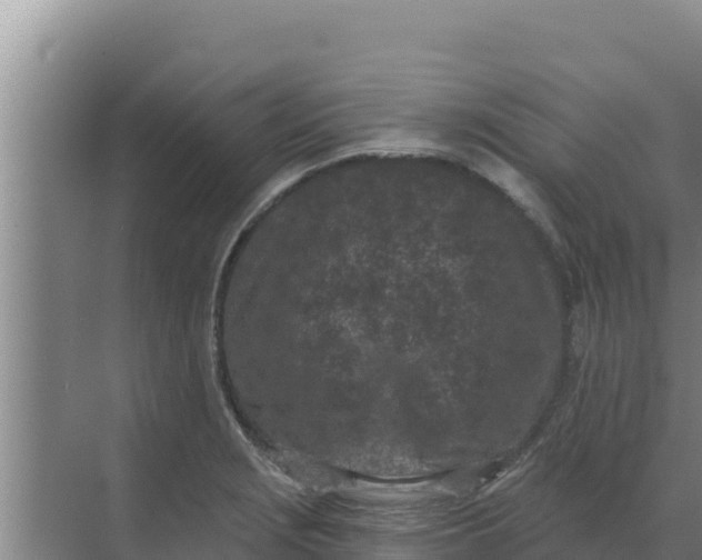 X0000071771229200607150020