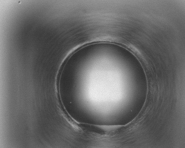 X0000071771230200607150020