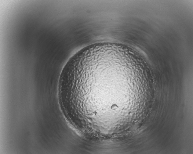 X0000071771231200607150020