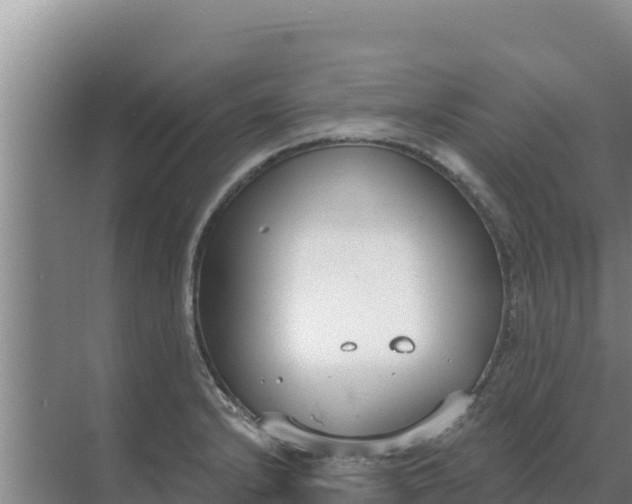 X0000071771232200607150020