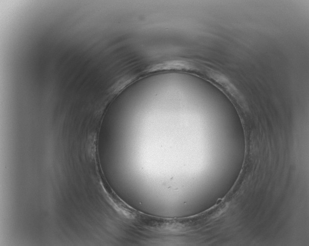 X0000071771233200607150020