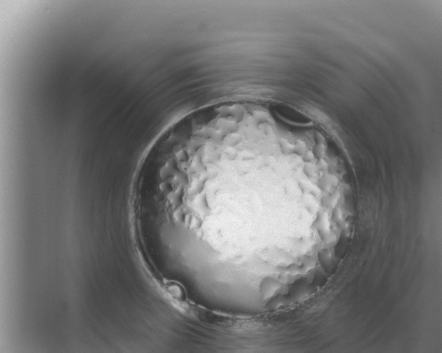 X0000071771235200607150020