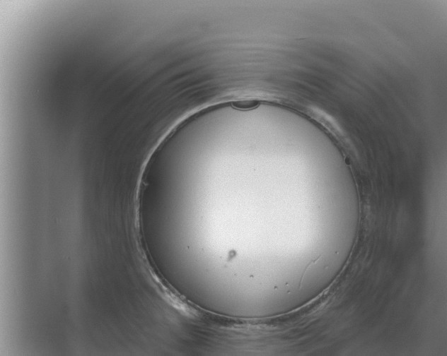 X0000071771236200607150020